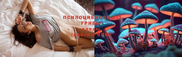 дмт Верхний Тагил