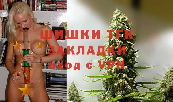 бошки Бронницы