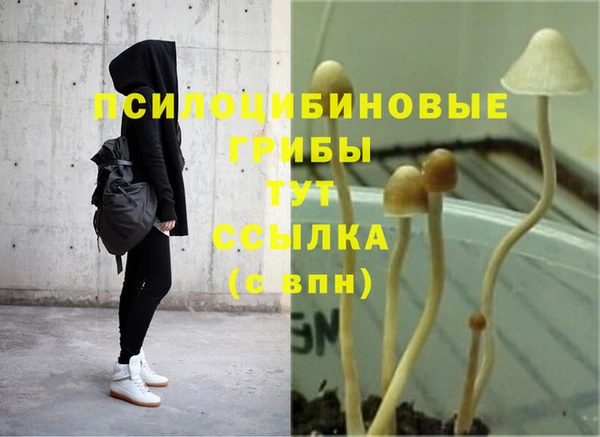 гашишное масло Верея