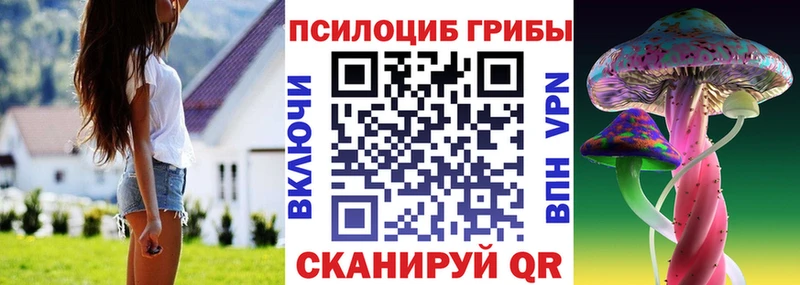 Купить где  Нарьян-Мар  Псилоцибиновые грибы Magic Shrooms 