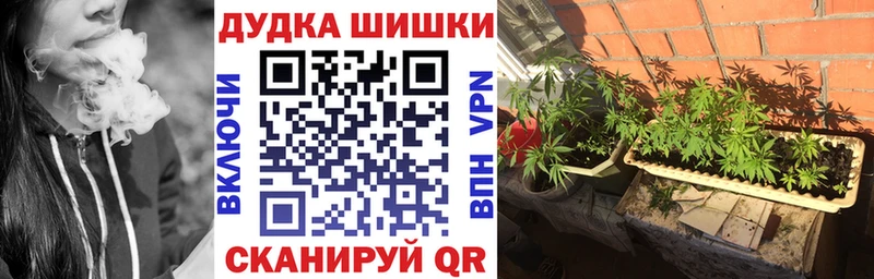 Марихуана планчик  Купить где  Нарьян-Мар 